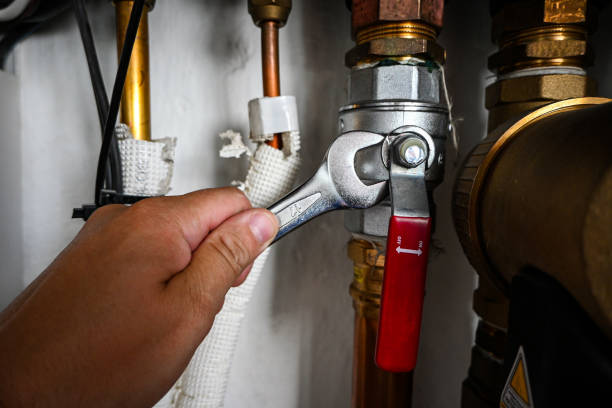 Best Local Plumber Services  in Delafield, WI
